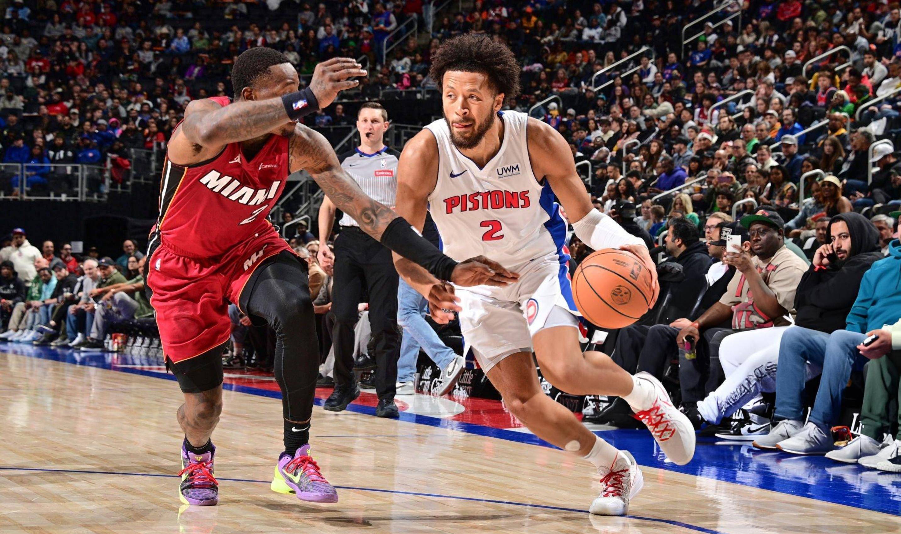 宠物日明确 宠物日明确