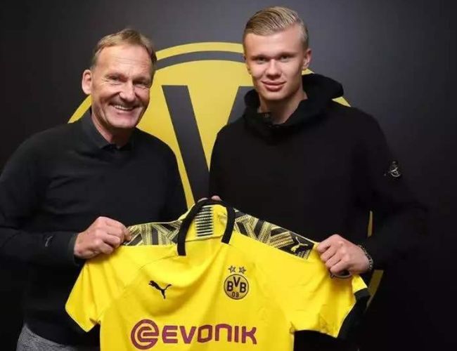 塔图姆若能 塔图姆若能